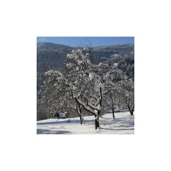 09. Winter in Aschau