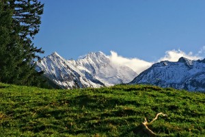 Zillergrund
